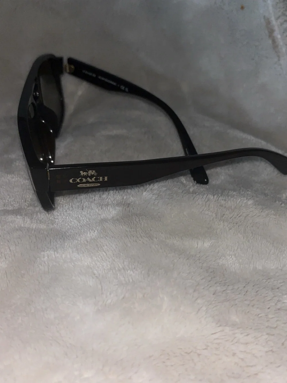 Coach Brown Frame Sunglasses with Dark Green Lenses - Pilot Sunglasses